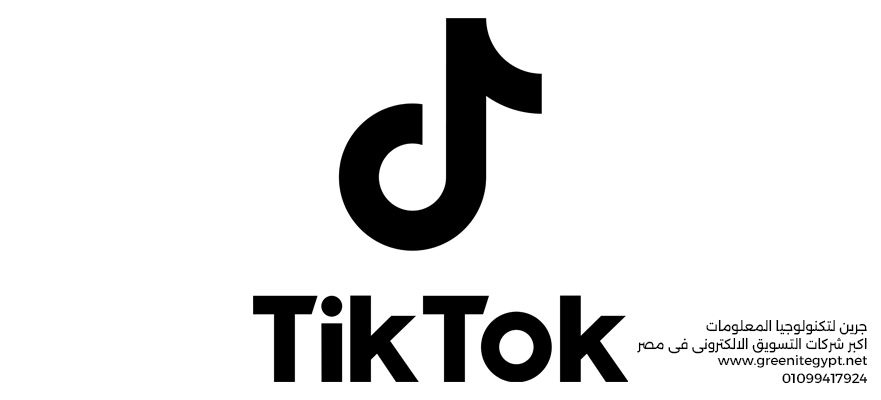 إدارة الإعلانات الممولة على تيك توك